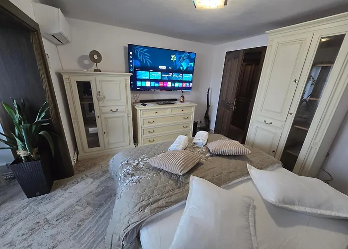 Ole Luxury Stay In City Center - Parking Included * טימישוארה