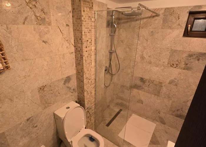 Ole Luxury Stay In City Center - Parking Included * טימישוארה