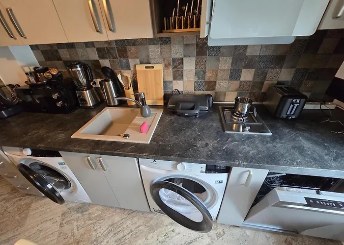 Ole Luxury Stay In City Center - Parking Included * Timisoara