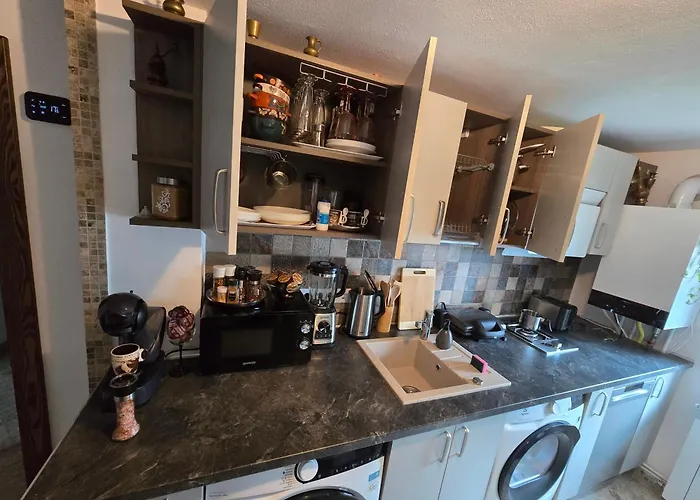 Ole Luxury Stay In City Center - Parking Included Τιμισοάρα