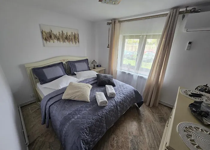 Ole Luxury Stay In City Center - Parking Included * Τιμισοάρα