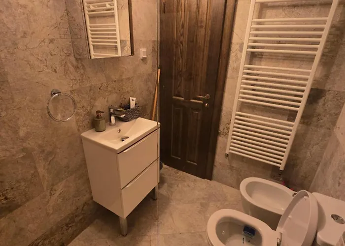 Ole Luxury Stay In City Center - Parking Included Διαμέρισμα Τιμισοάρα